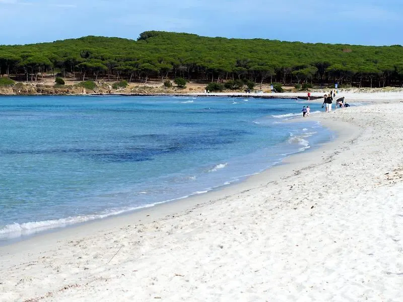 Holiday home Endless Summer Apartment Olbia Italy
